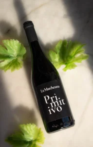 Pizza napolitaine sortant du four à bois, verre de vin italien à côté