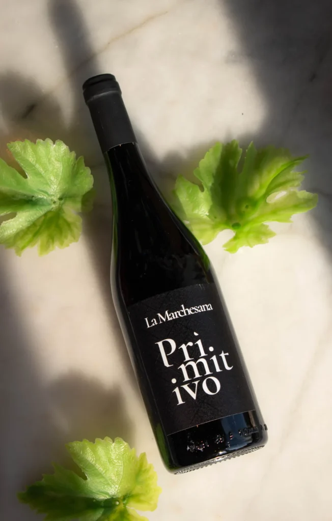 Pizza napolitaine sortant du four à bois, verre de vin italien à côté